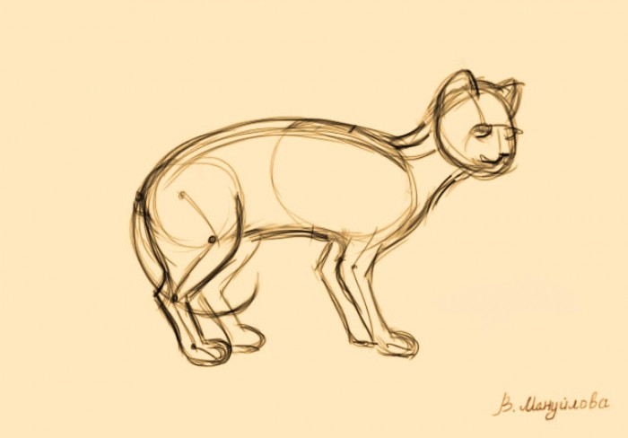 как нарисовать силуэт кошки