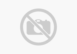 See the full range now. Skoda Fahrzeugborse