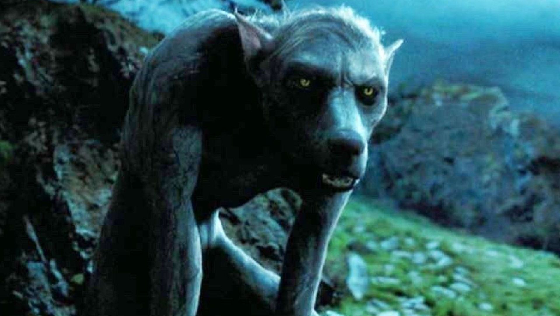 Harry Potter Cual Es La Diferencia Entre Un Animago Y Un Hombre Lobo