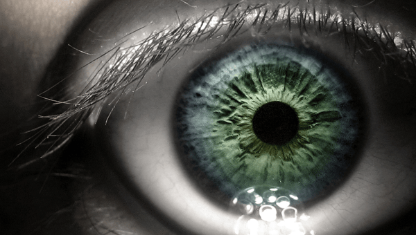 As an american executive for a multinational co. Brain Post: How Big is Your Blind Spot? - SnowBrains