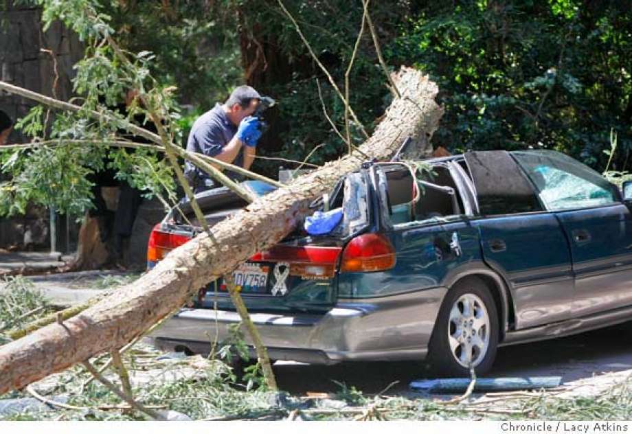 Sign up for marketbeat all access to gain access to marketbeat's full suite o. Tahoe City Women Killed After Tree Falls On Her Car While