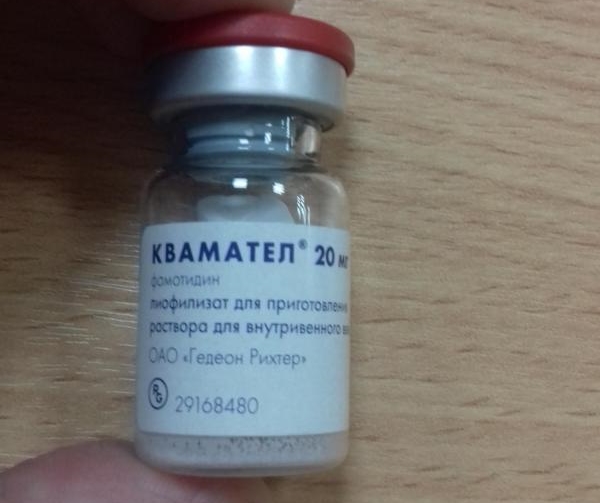 Фамотидин для собак отзывы ветеринаров. Квамател для кошек для профилактики гастритов. Правильная дозировка Квамател для кошек. Инструкция по применению и дозировка кваматела для собак