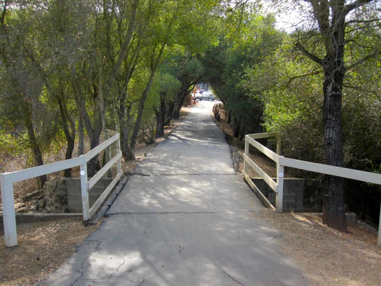 Back at Trippet Ranch