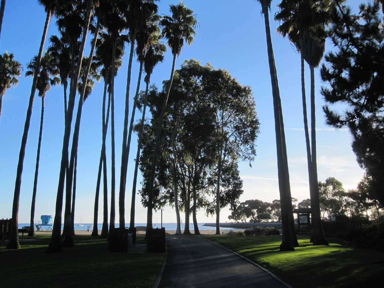 Path at north end of Doheny