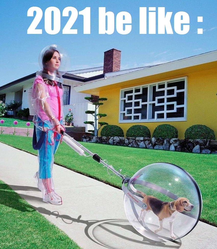 And now that we’re all vaccinated and slowly (and safely!) venturing back out into society, you might think our need fo. The Best Memes That Have Outstanded This 2020 Social Publi Blog