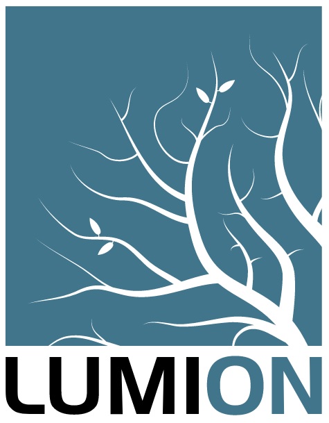 Lumion 11 Professional Software Original