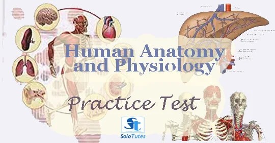 You should not rely on any information on this site as a substitute for professional medical advice, diagnosis, treatment, or as a substitute for, professional counseling. Practice Test 2 Human Anatomy And Physiology