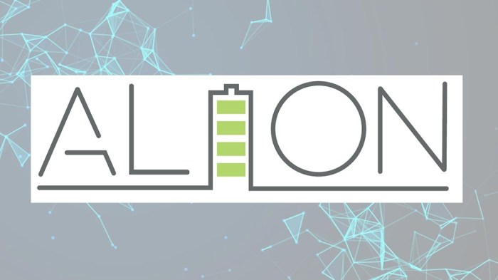 Alion 2005 - Alion Bodegas | Buy Online | Best of Wines Alion net worth