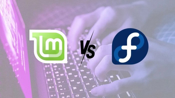 Fedora vs mint