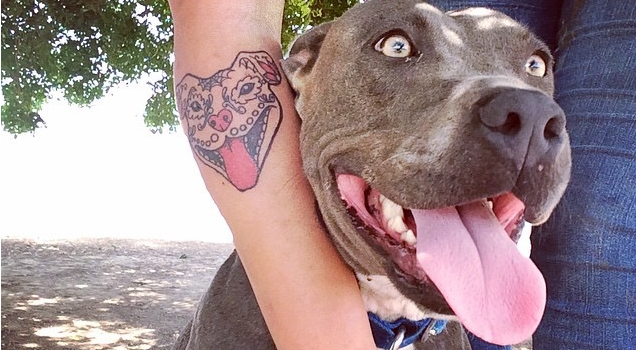 The 10 Coolest Pit Bull Tattoo Designs In The World - Sonderlives 350_x_636_png
