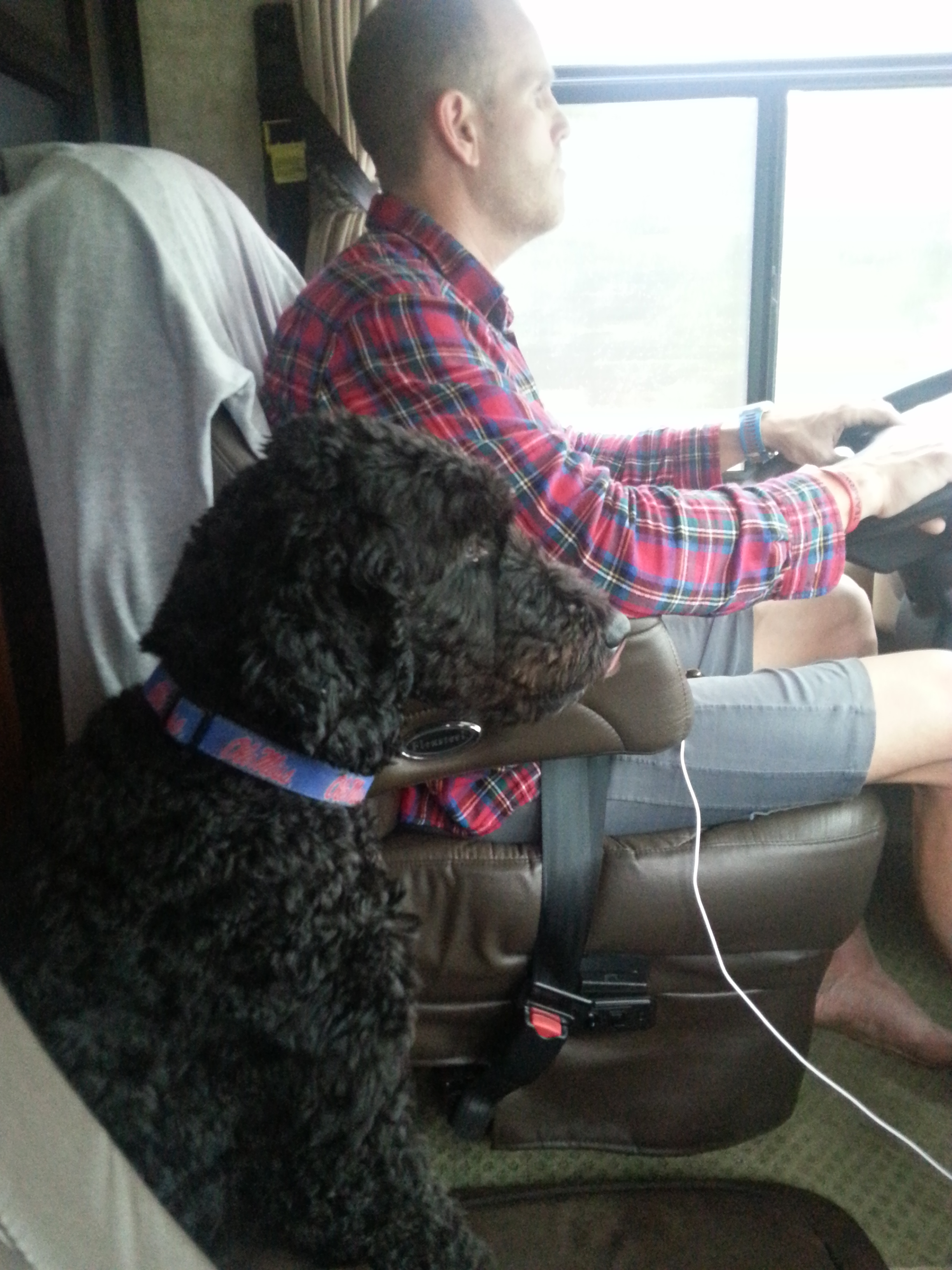 Whoa, Has It Really Been A Year Already?! Sort Of