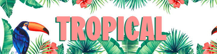 Canal Tropical