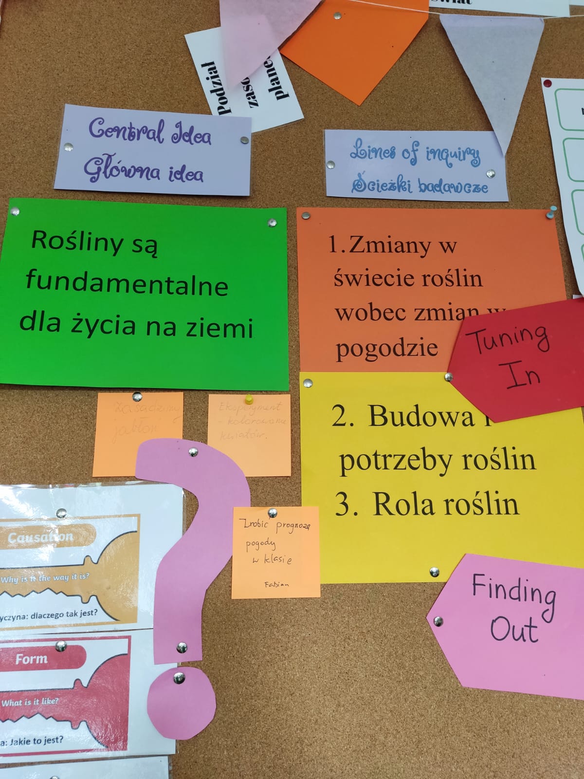 IB PYP (5)
