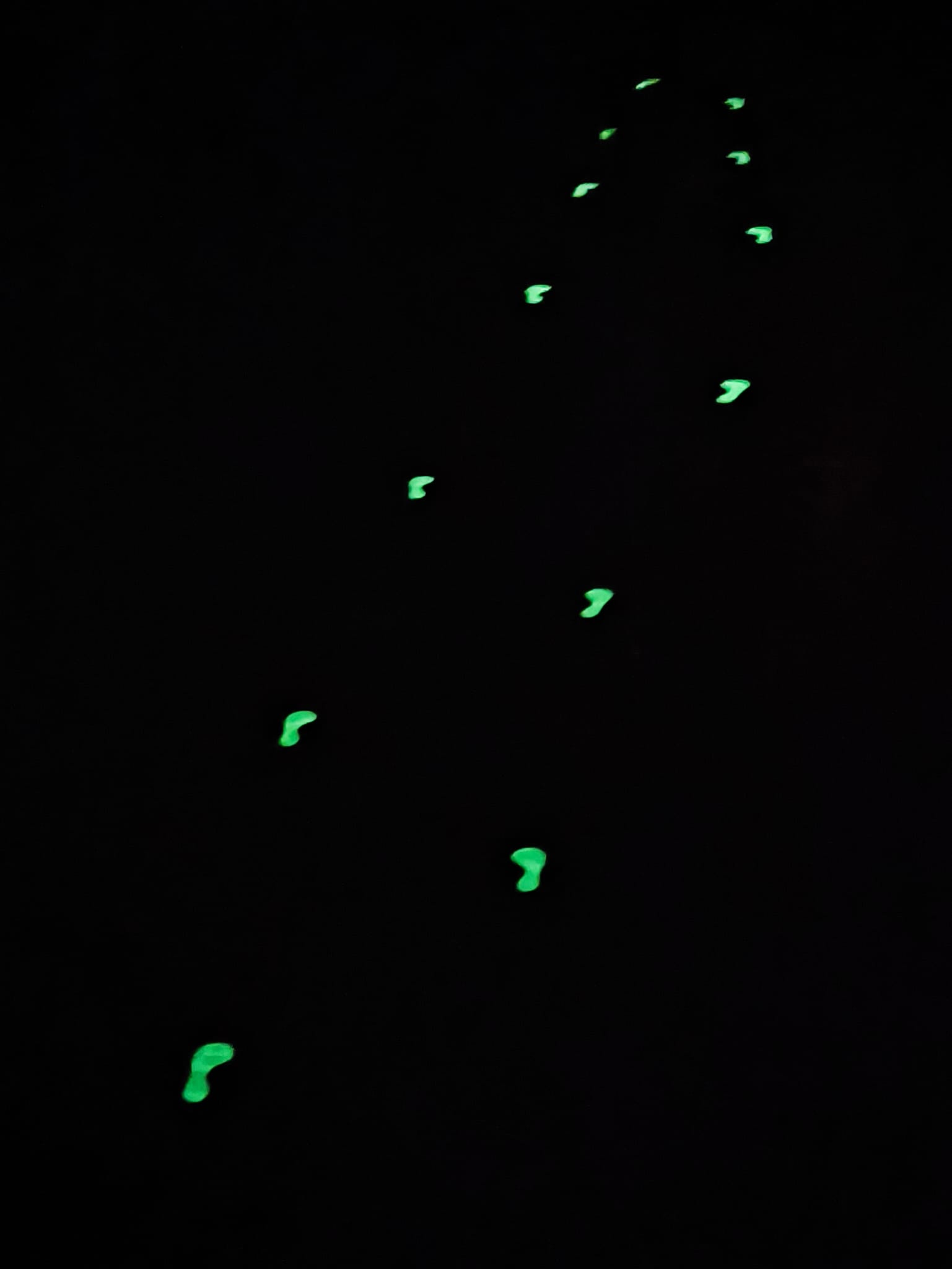 1 (3)
