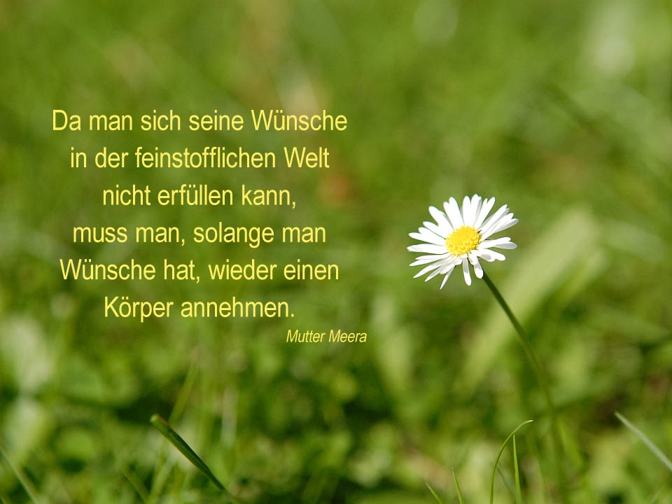 Tod Und Seele - Frage Und Antwort Von Mutter Meera 720_x_960_jpg