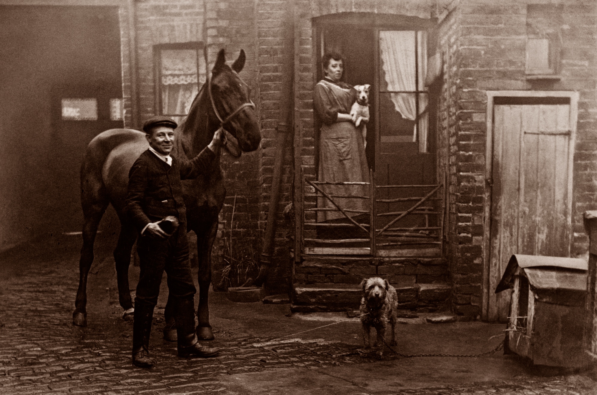 There is a long list of why dogs are such a wonderful companion to have, some of the reasons include their loyal nature, their loving disposition, and protective instincts. Libby Hallâs Dogs Of Old London | Spitalfields Life