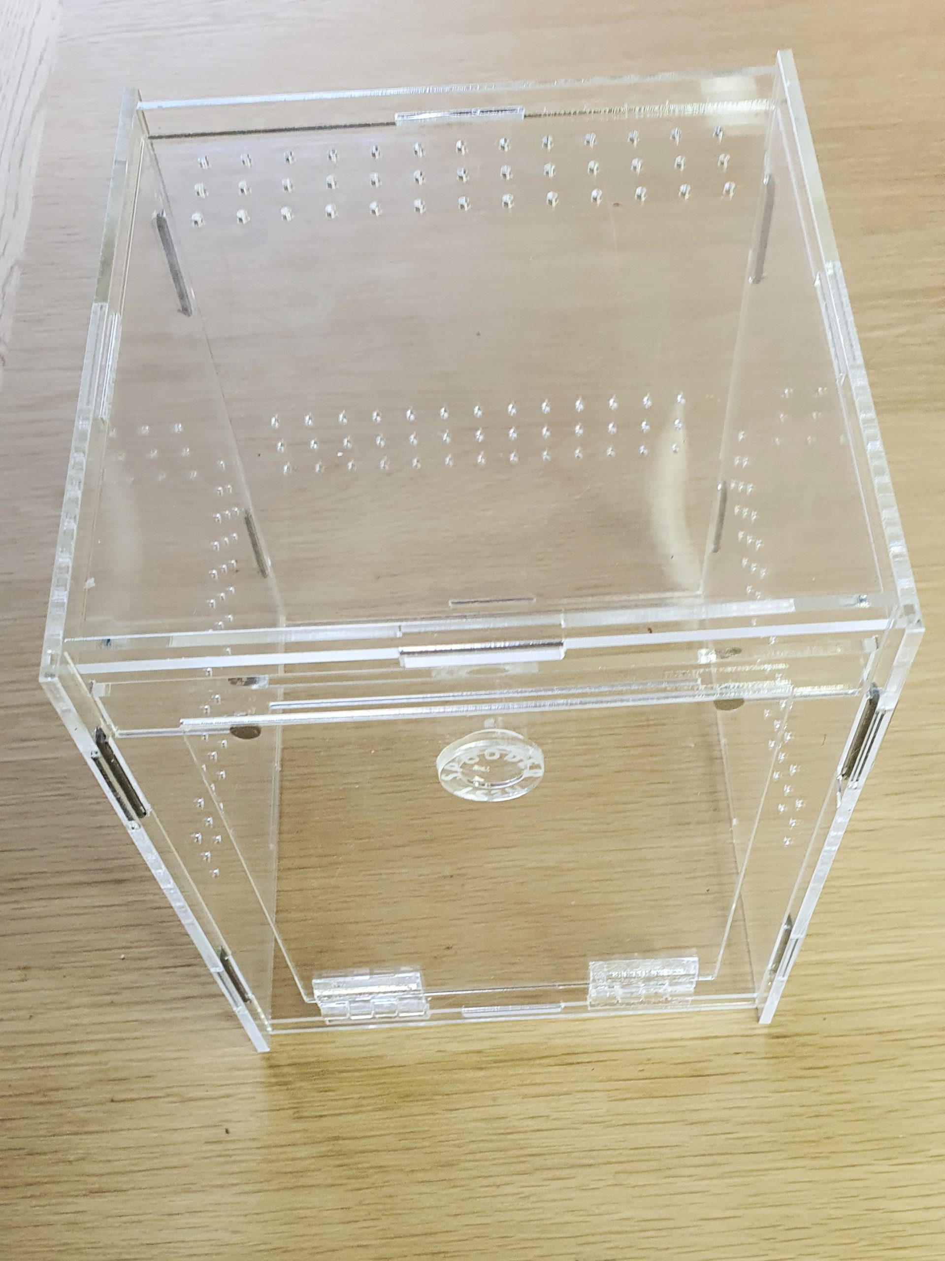 Spoodernest Jumping spider enclosure ‘Classic’ Spooder Nest