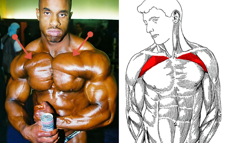 Hammer your chest and should. 5 Upper Chest Exercises That'll Give You The Complete