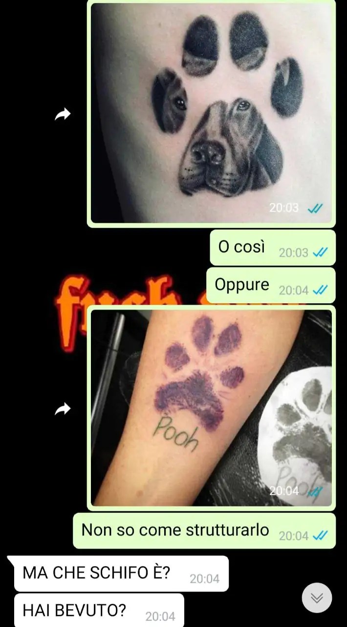 La Zampa Del Cane – Spunteblu 1280_x_710_jpg