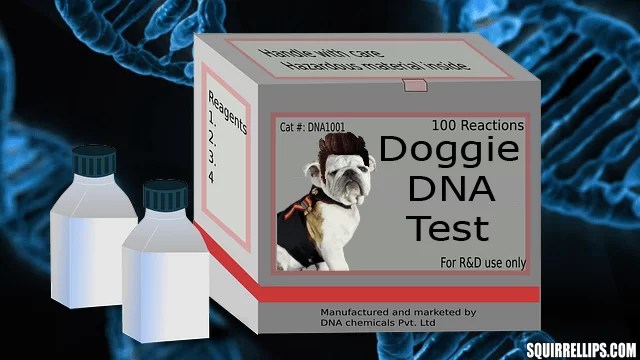 Surprising DNA Test Results Leave AllAmerican Dog Shocked Squirrel Lips