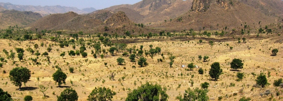 Climate Change Adaptation and Mitigation