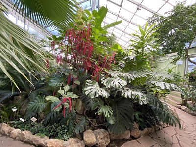 Время посещения с 10.00 до 17.00. Botanicheskij Sad Samarskij Universitet