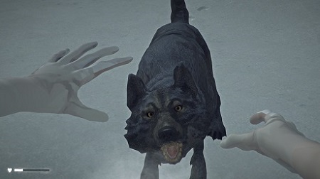 Обзор на The Long Dark — Прохождение и системные требования. The Long Dark: обзор игры