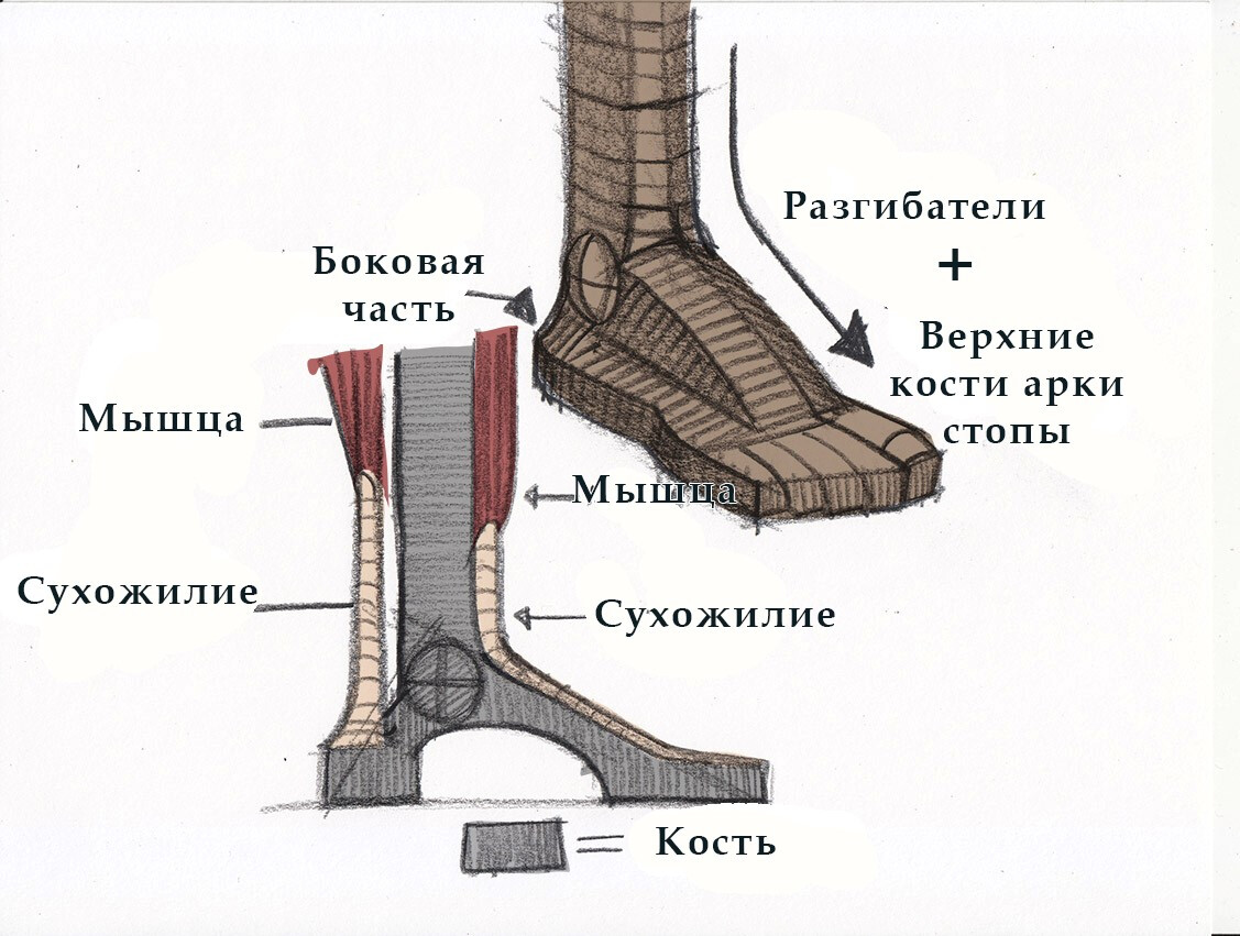 как рисовать стопы ног