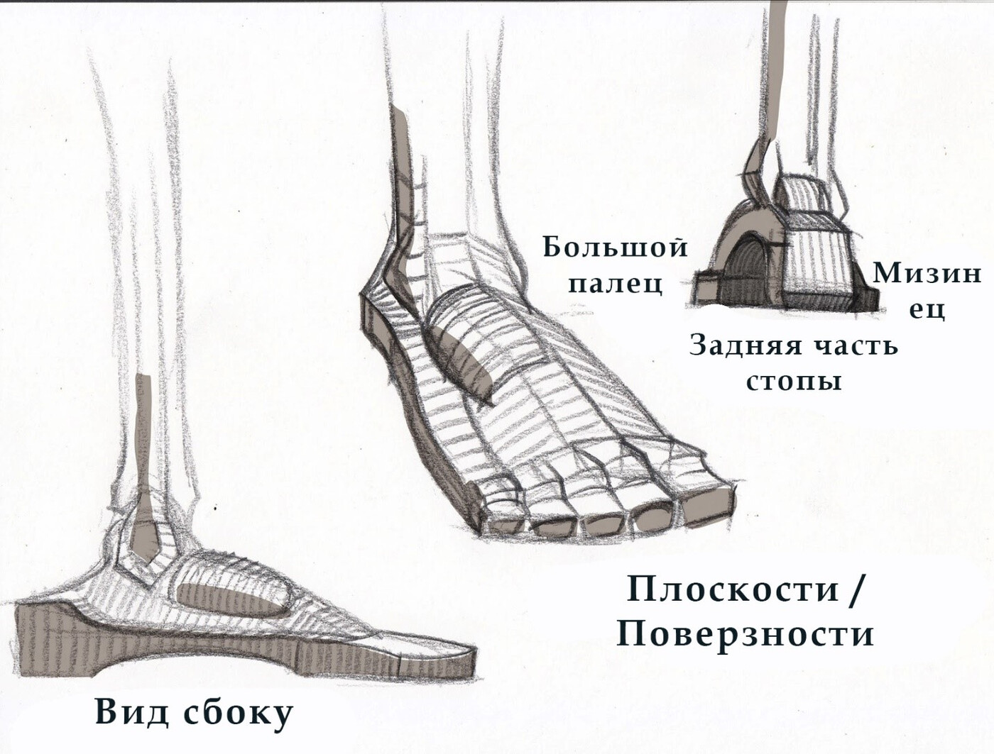 как рисовать стопы ног