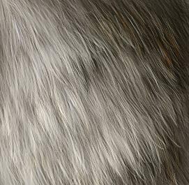 как рисовать шерсть фурри