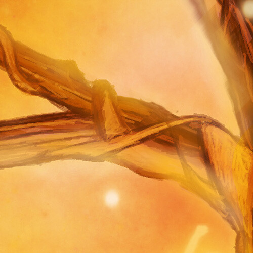 как нарисовать объект в фотошопе