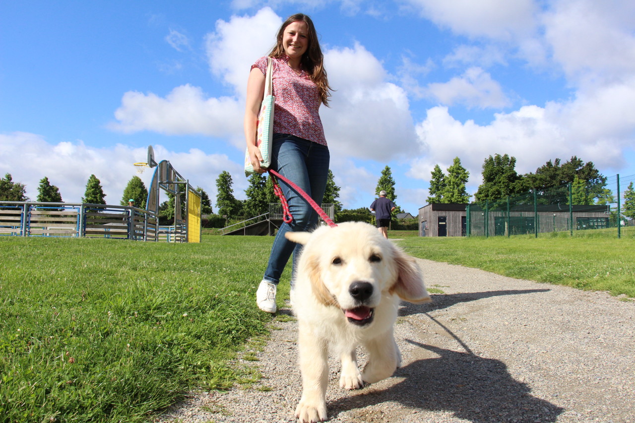 A Chateau Gontier Yolene Lambert Eduque Vos Chiens Haut Anjou