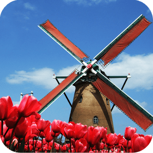 Water is not an organism. Download Tulip Windmill Live Wallpaper 2 20 Apk For Android Appvn Android