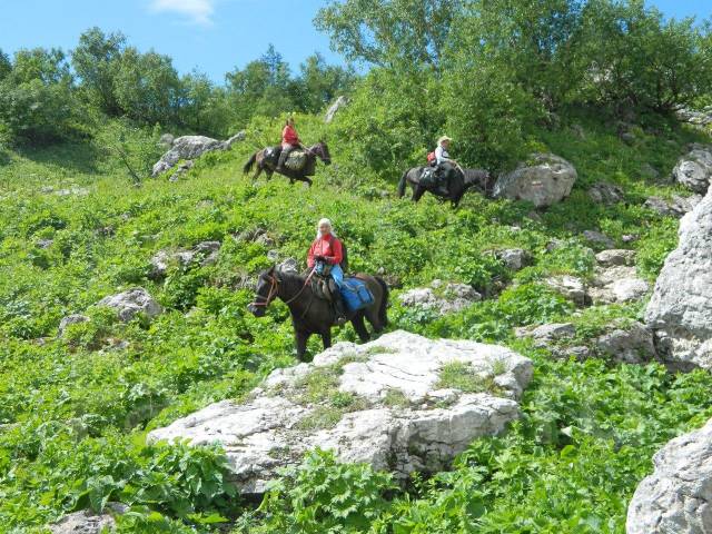 Предложения туров в адыгею из краснодара от компании большая страна. Otdyh V Gorah Kavkaza Konnye Peshie Tury Krasnodar Sportivnyj Tur Rossiya V Moskve