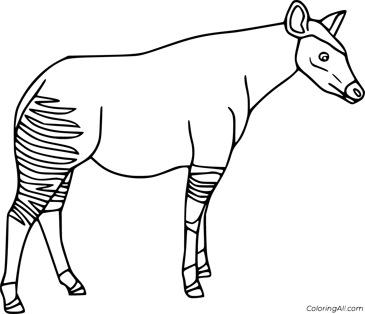 Each printable highlights a word that starts. Okapi Coloring Pages Coloringall