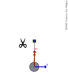 Finding the centre of rotation worksheet. Centrifugal Force Vs Centripetal Force Difference And Comparison Diffen