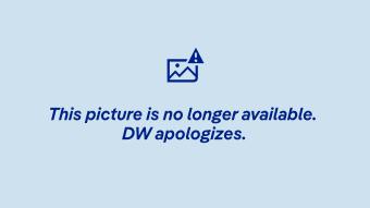 Experts Call For Stricter Tattoo Ink Regulations | Germany | News And In-Depth Reporting From Berlin And Beyond | Dw | 15.02.2012 191_x_340_jpg