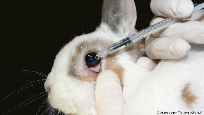 The federal food, drug and cosmetic act, regulated by the fda, prohibits the sale of mislabeled and  . Eu Reaffirms Ban On Animal Testing For Cosmetics Globalization Dw 11 07 2013