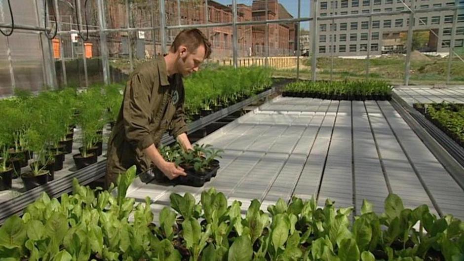 Thanks to a rising number of community garden and farm projects,. Transforming German Cities Into Organic Food Gardens Environment All Topics From Climate Change To Conservation Dw 16 02 2018