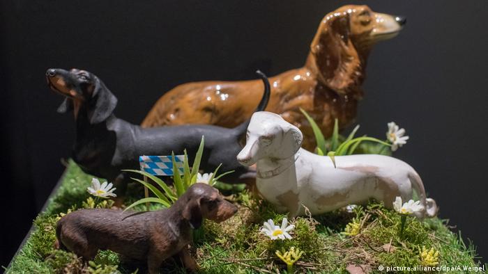 Der Dackel Kommt Ins Museum Lebensart Dw 02 04 2018