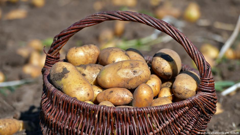 13 Deutsche Redewendungen Über Das Essen Und Kochen | Alle Multimedialen Inhalte Der Deutschen Welle | Dw | 03.06.2020 529_x_940_jpg