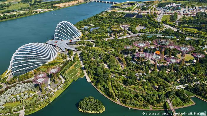 Denmark Bangun Pulau Buatan Sebagai Pusat Energi Angin | Dunia: Informasi Terkini Dari Berbagai Penjuru Dunia | Dw | 05.02.2021 394_X_700_jpg