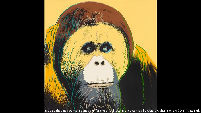 Ausstellung In Emden Tiere In Der Kunst Kultur Dw 26 02 2021