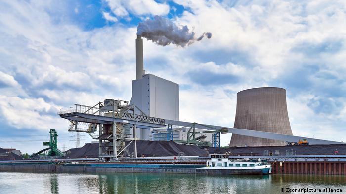 Gardening can be extremely enjoyable for people of all ages and different walks of life. Coal And Fossil Fuel Share Of German Electricity Rises In 3q News Dw 14 12 2021