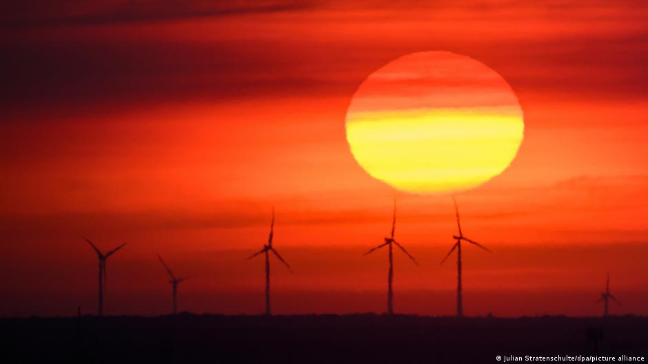 Celebrating a Decade of the Paris Agreement: Surprising Successes You Didn’t Know About!