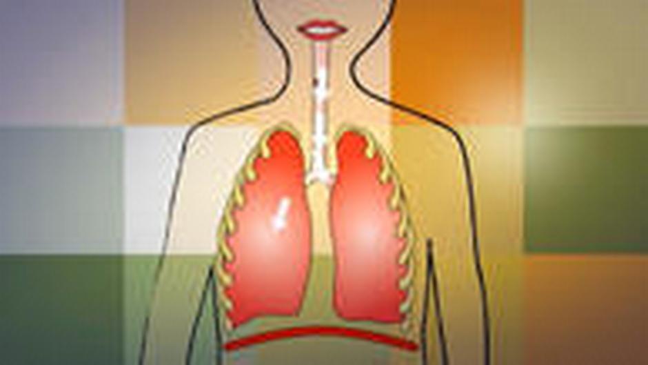 وقد استُعملت الكثير من الأدوية التي تفاوتت فعاليَّتها. ÙØ§ ÙÙ Ø®Ø·ÙØ±Ø© Ø§ÙÙÙØ§Ù Ø§ÙØ­Ø§Ø²ÙÙØ© ØµØ­ØªÙ Ø¨ÙÙ ÙØ¯ÙÙ Dw 11 01 2012