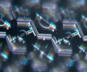 science.xyz بريما بصري اصطناعي عن قرب