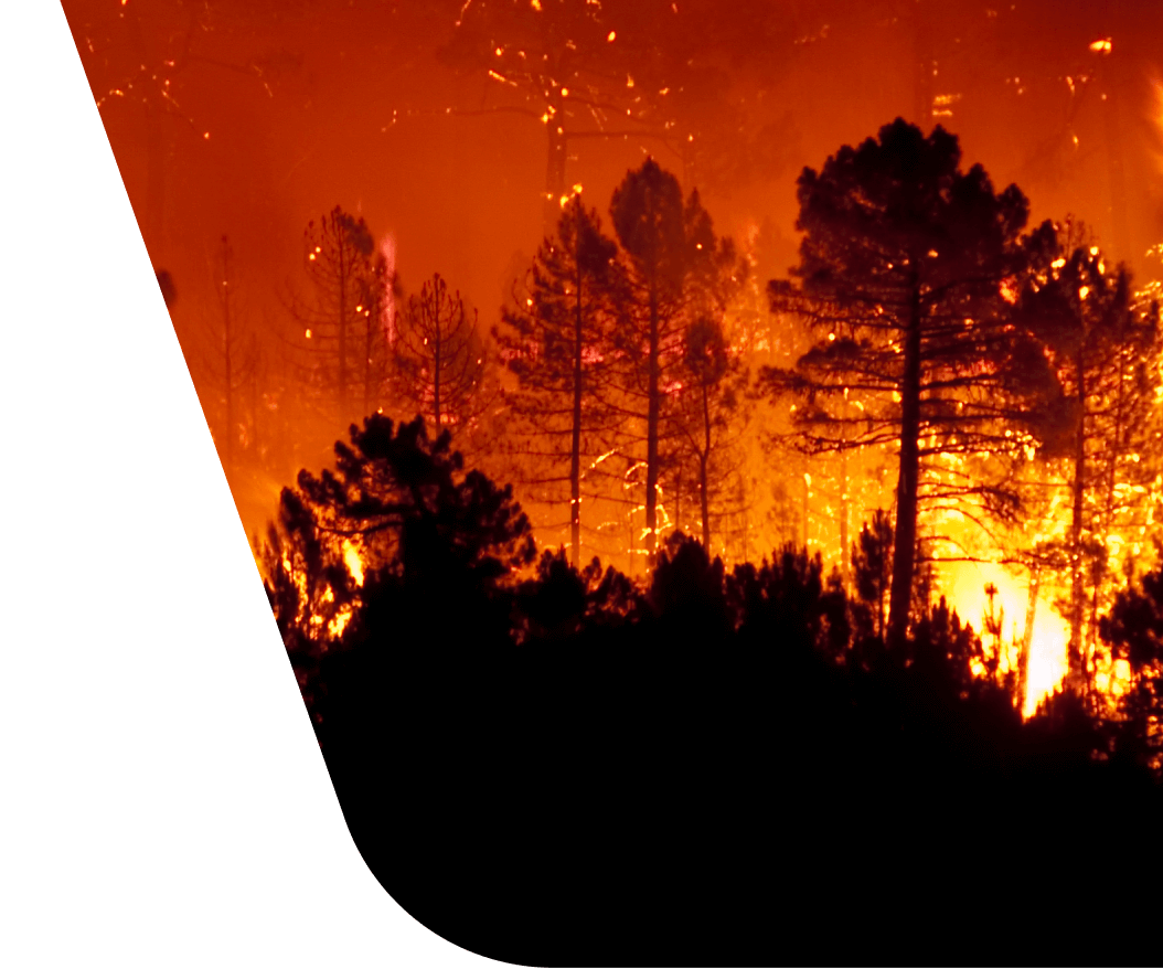 While a forest fire is often seen as harmful . Wildfires Monitoring Forest Fire Causes Aftermath And Prevention