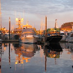morning sun on boats