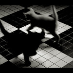 Happy Furry Friday...